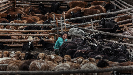 图片7.jpg